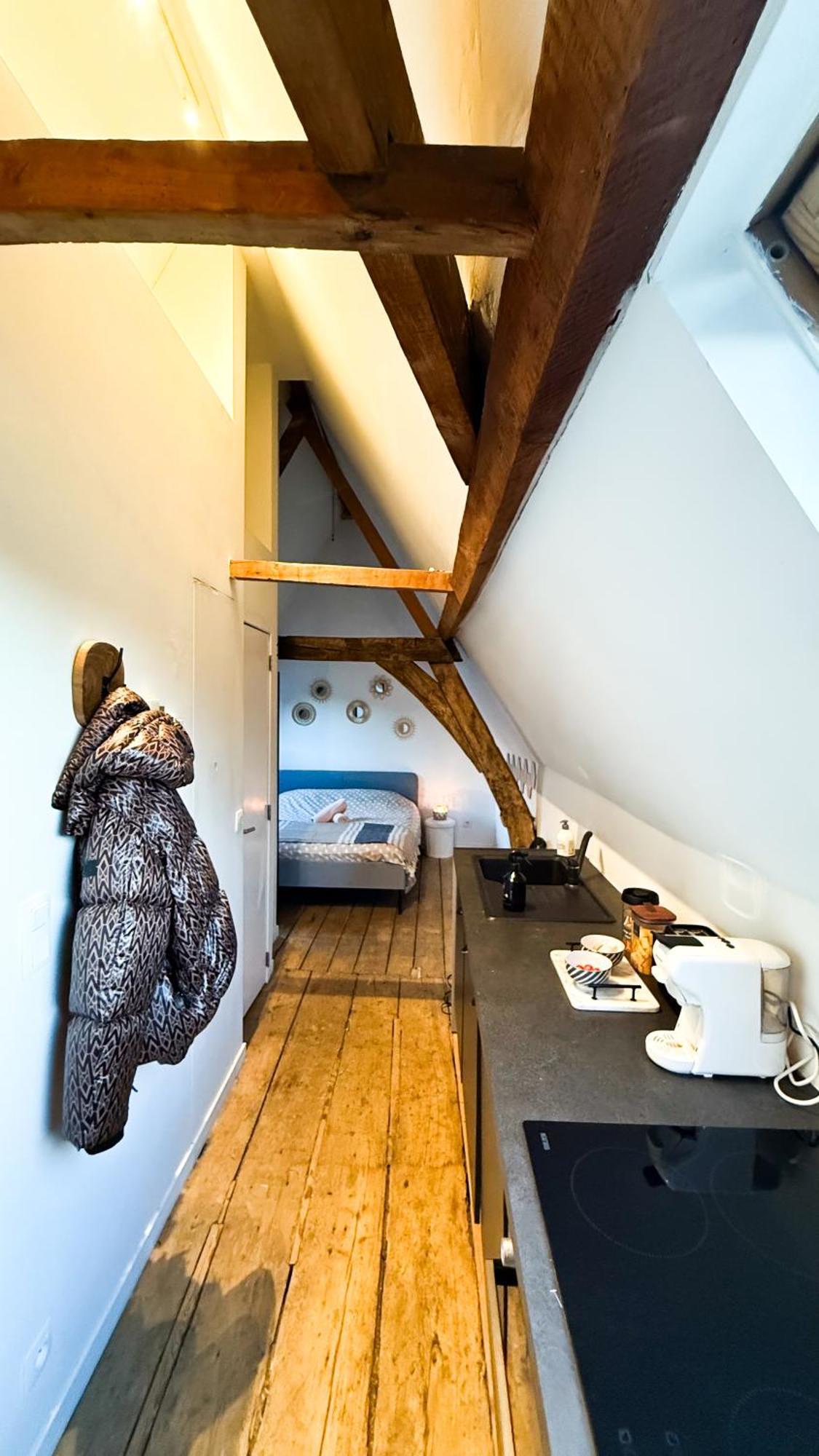 Cosy Authentiek Penthouse Lägenhet Antwerpen Exteriör bild