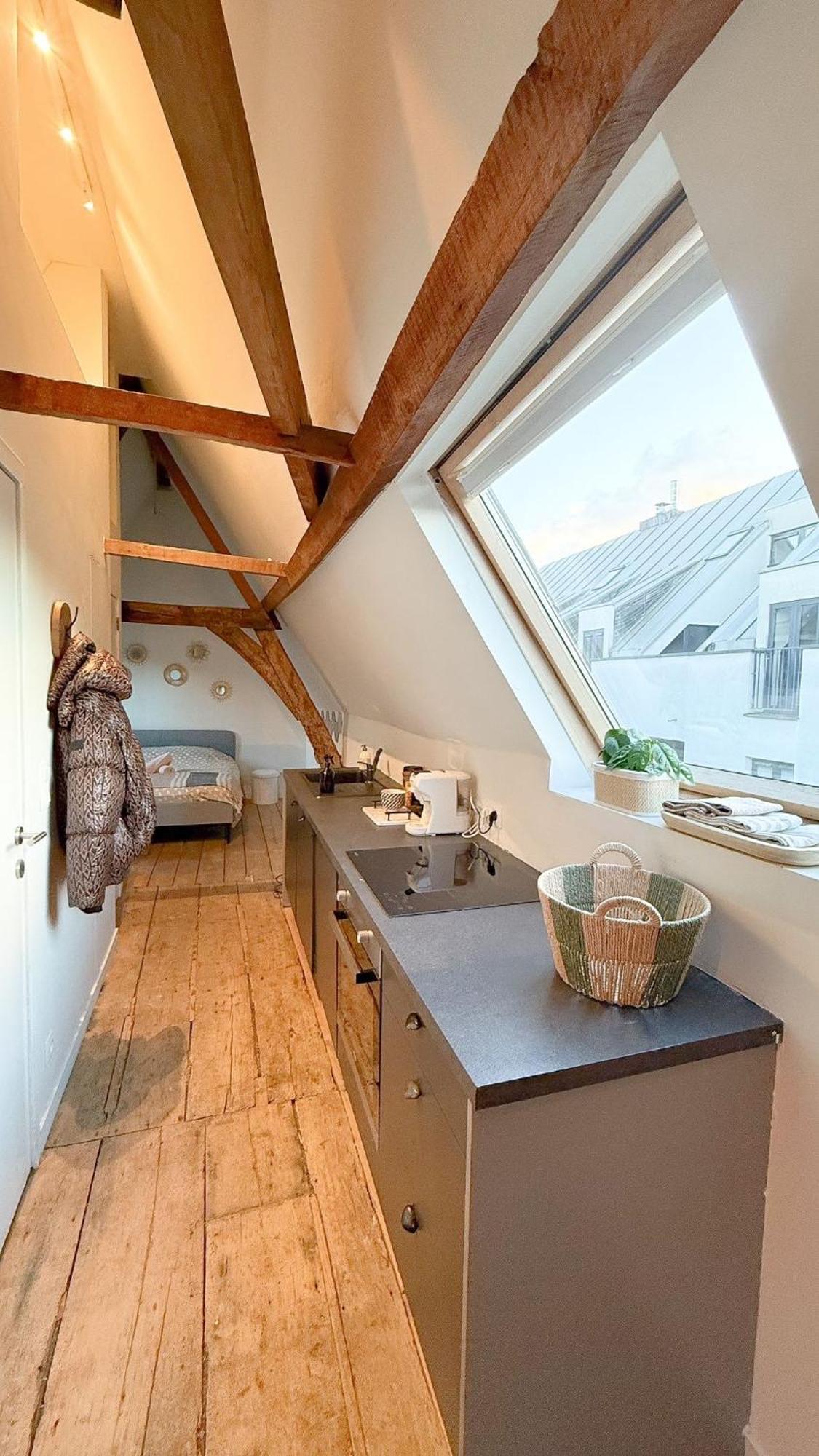 Cosy Authentiek Penthouse Lägenhet Antwerpen Exteriör bild