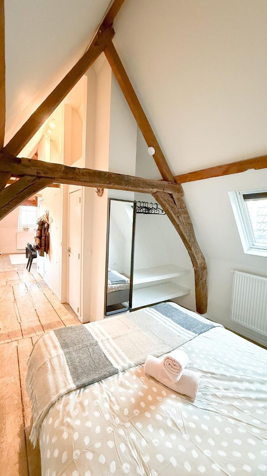 Cosy Authentiek Penthouse Lägenhet Antwerpen Exteriör bild